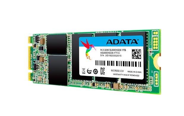 SSD Adata SU800, 1TB, SATA III, M.2