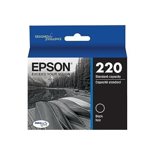 Cartucho Epson 220 Negro, 175 Páginas