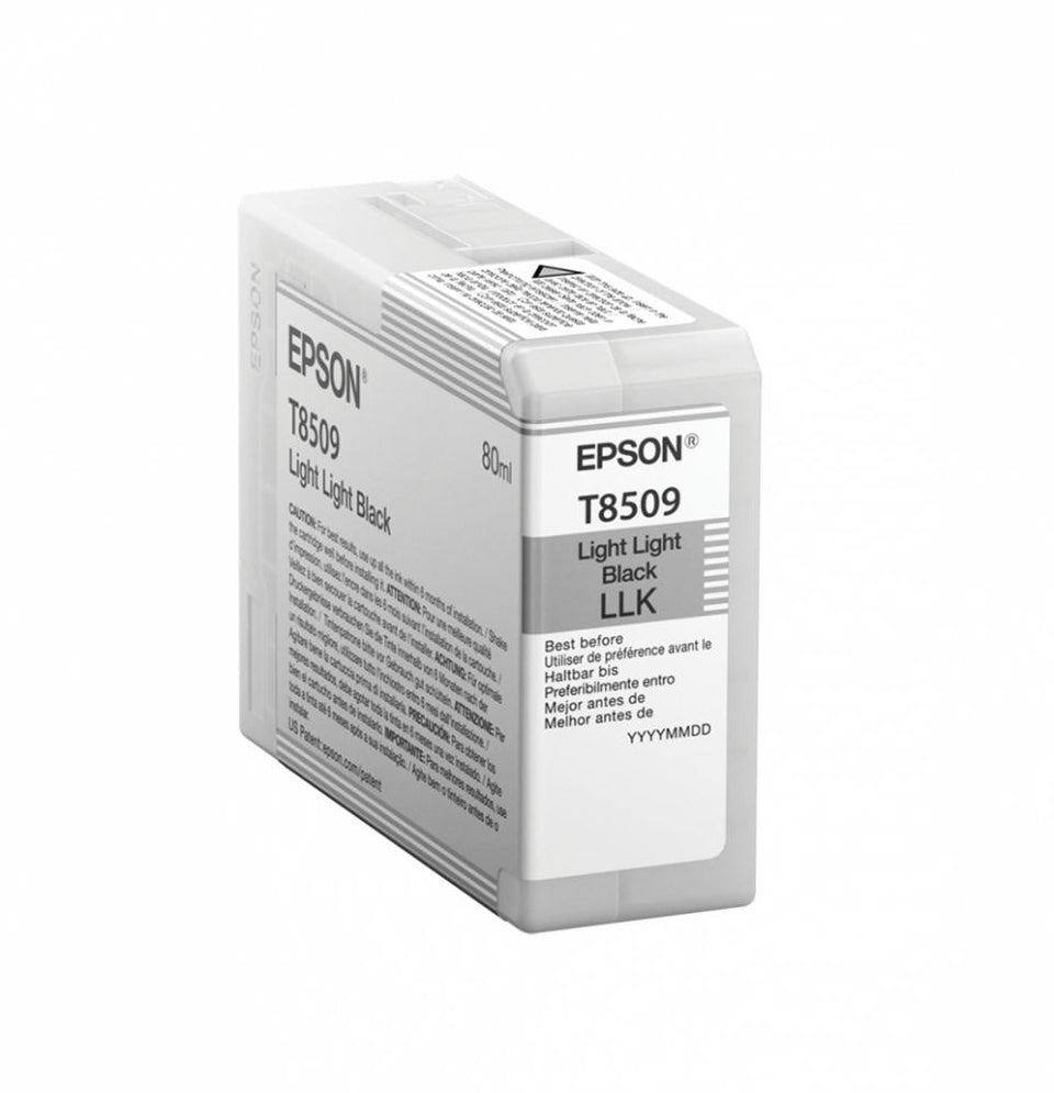 Cartucho Epson UltraChrome HD Negro Claro Claro 80ml